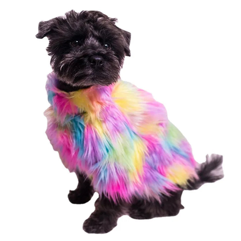 Untamed Spoiled Pup: Rainbow Jacket for Small Dogs