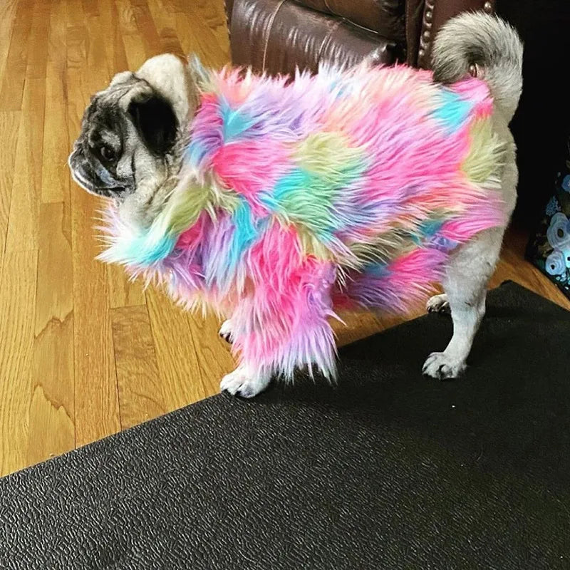 Untamed Spoiled Pup: Rainbow Jacket for Small Dogs