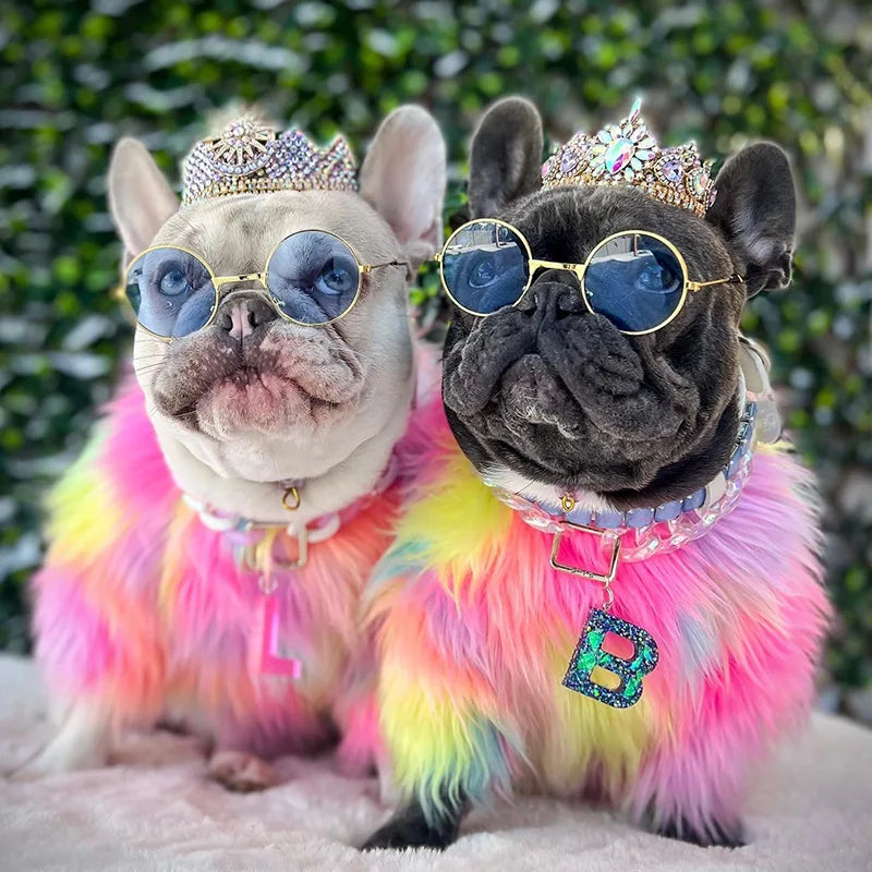 Untamed Spoiled Pup: Rainbow Fur Coat for Small Dogs