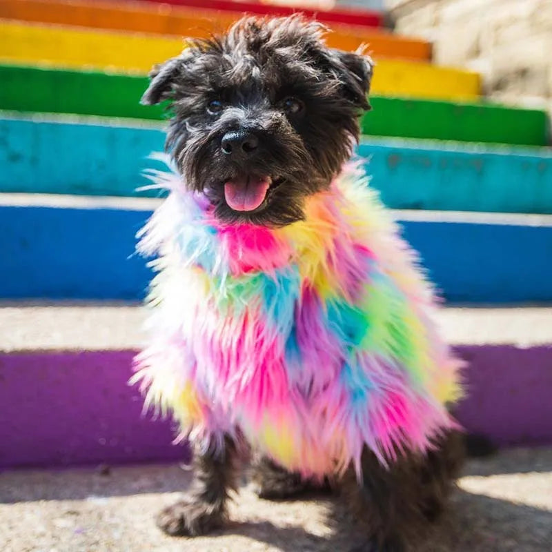 Untamed Spoiled Pup: Rainbow Fur Coat for Small Dogs