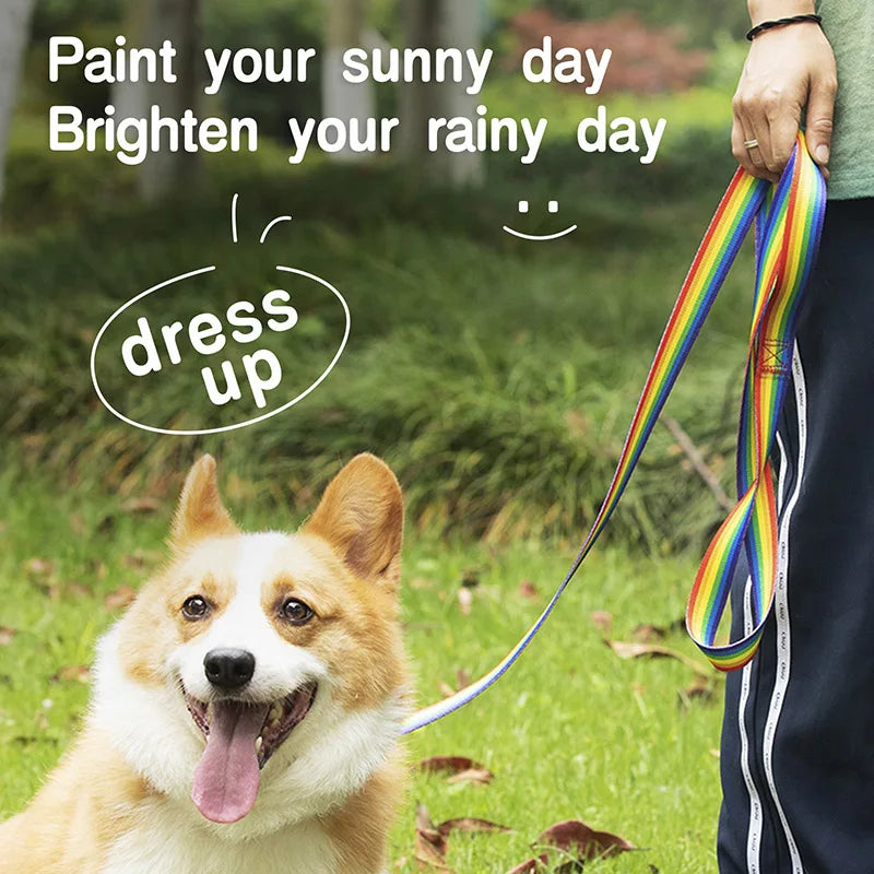 Untamed Spoiled Pup: Walk The Dog Rainbow Collection