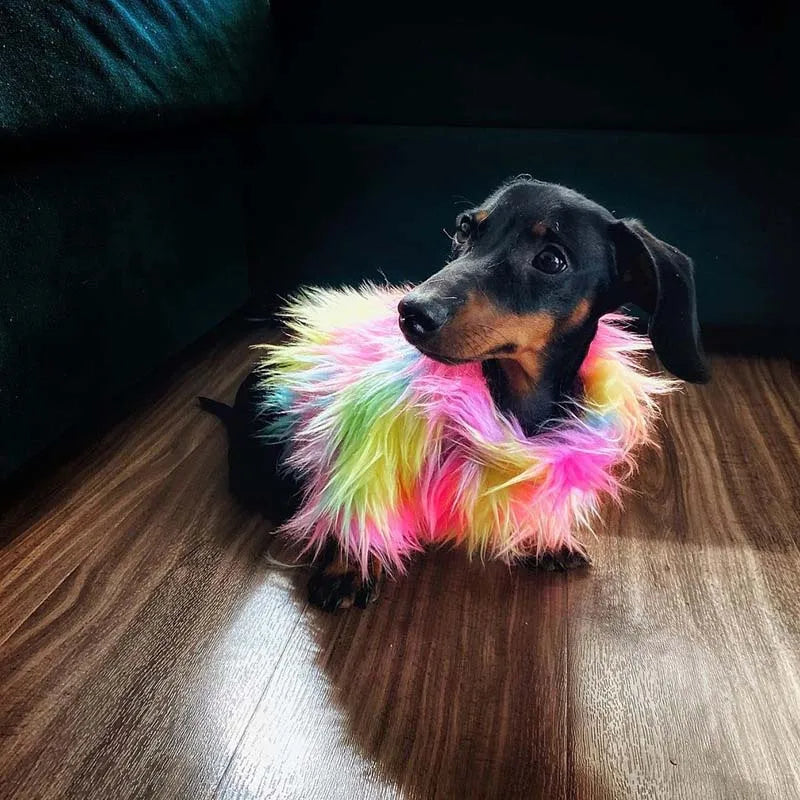 Untamed Spoiled Pup: Rainbow Fur Coat for Small Dogs