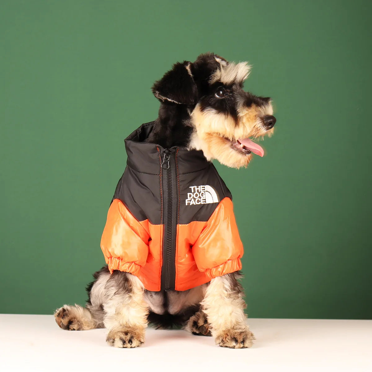 Untamed Spoiled Pup: The Dog Face Jacket