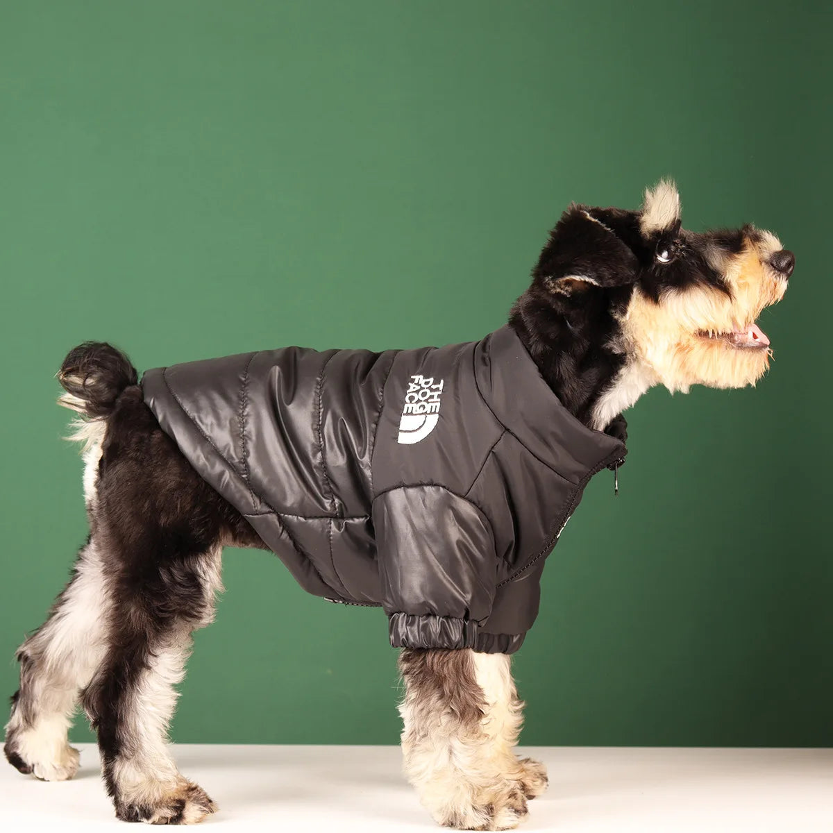 Untamed Spoiled Pup: The Dog Face Jacket