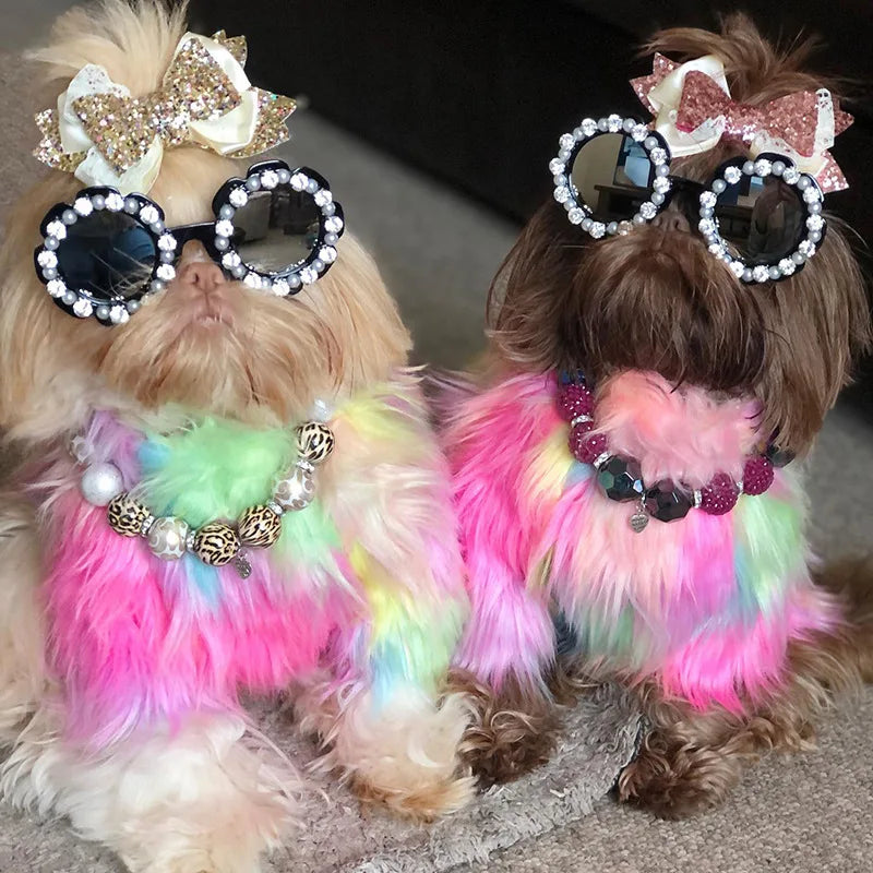 Untamed Spoiled Pup: Rainbow Fur Coat for Small Dogs