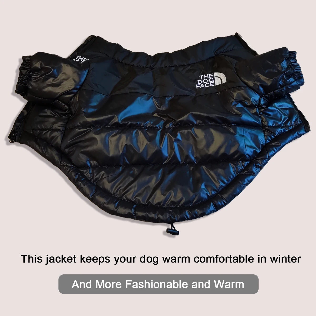Untamed Spoiled Pup: The Dog Face Jacket