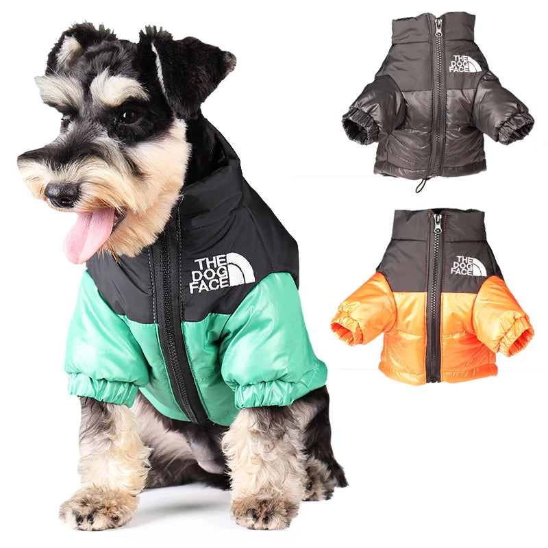 Untamed Spoiled Pup: The Dog Face Jacket